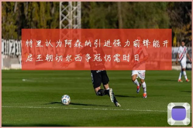 特里认为阿森纳引进强力前锋能开启王朝切尔西争冠仍需时日